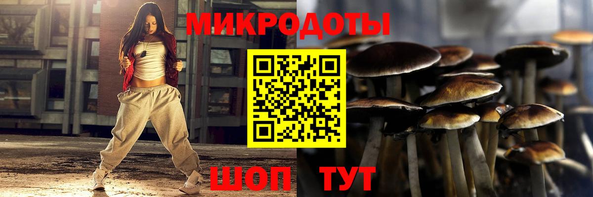 Псилоцибиновые грибы мухоморы Коряжма