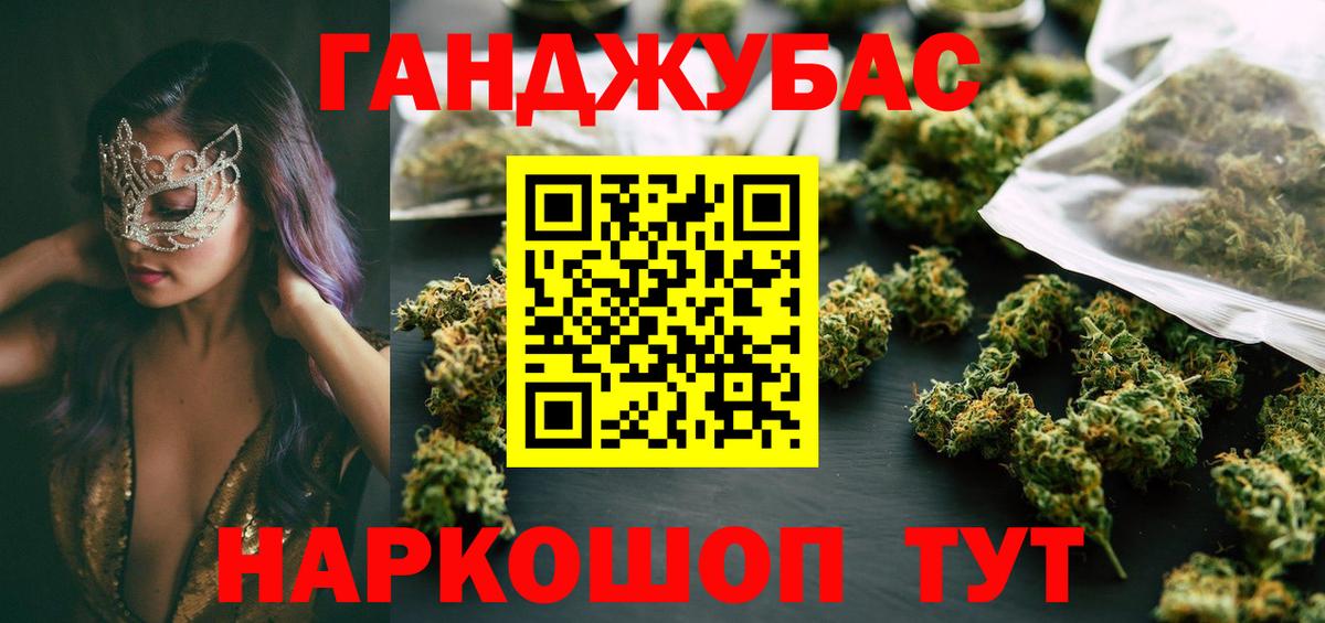 Бошки Шишки план Коряжма